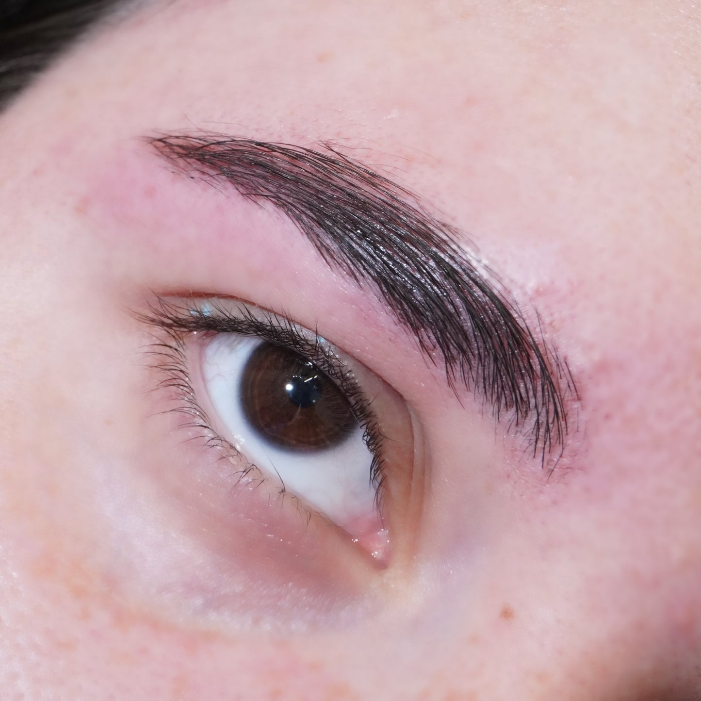 Ink (Black) Spectra Brow - Brow Cream - Glisten Cosmetics