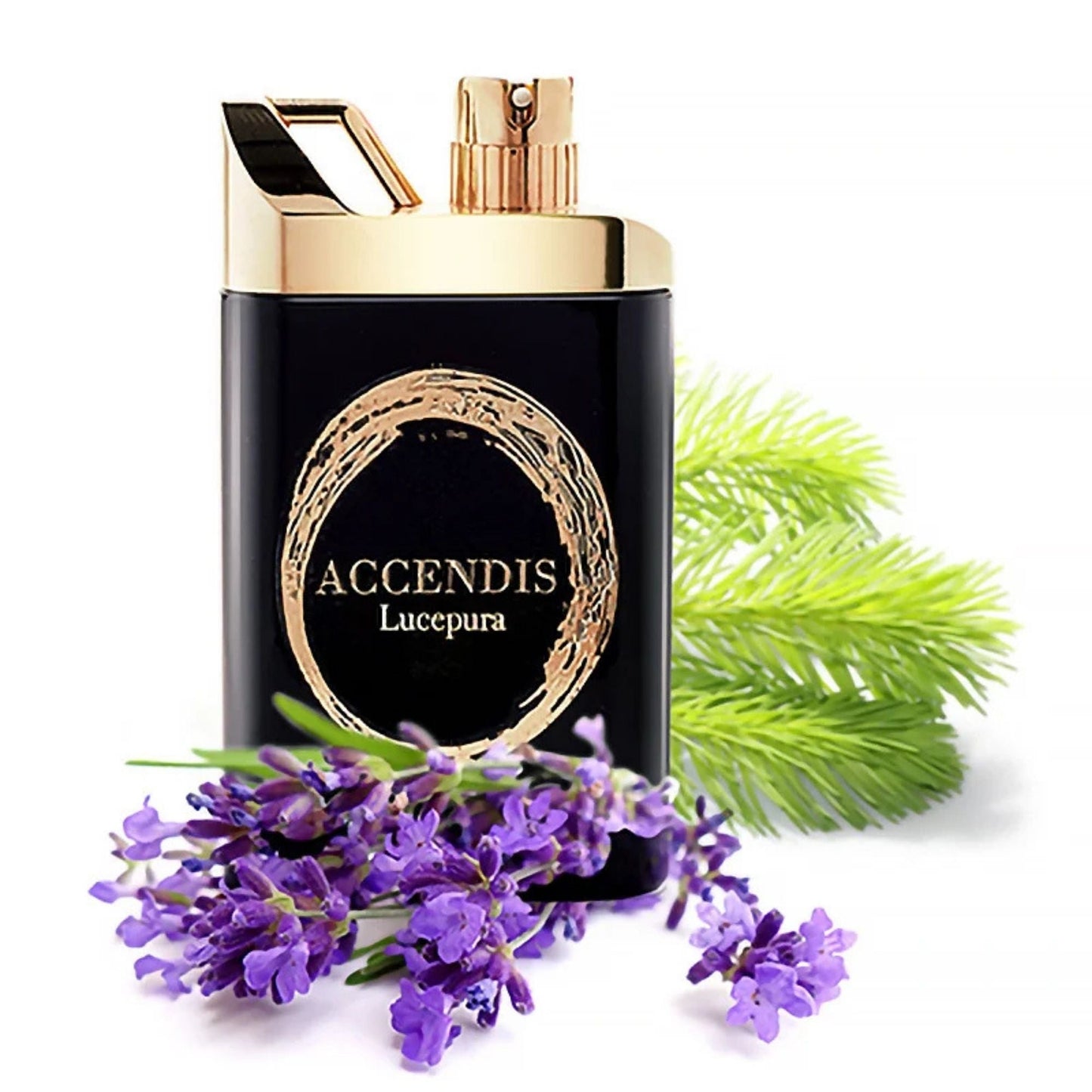 Accendis Lucepura Eau de Parfum
