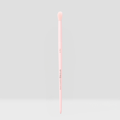 Vegan Brush Eye Bundle