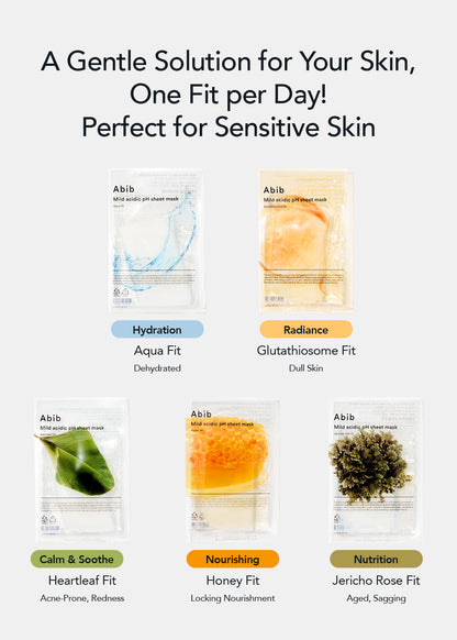 Abib Mild Acidic pH Sheet Mask Jericho Rose Fit