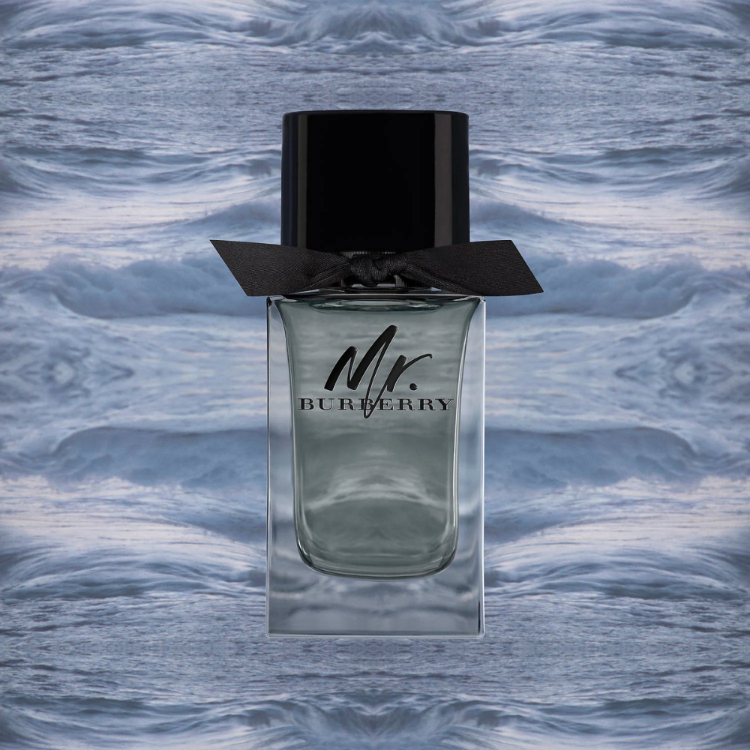 Burberry Mr. Burberry EDT