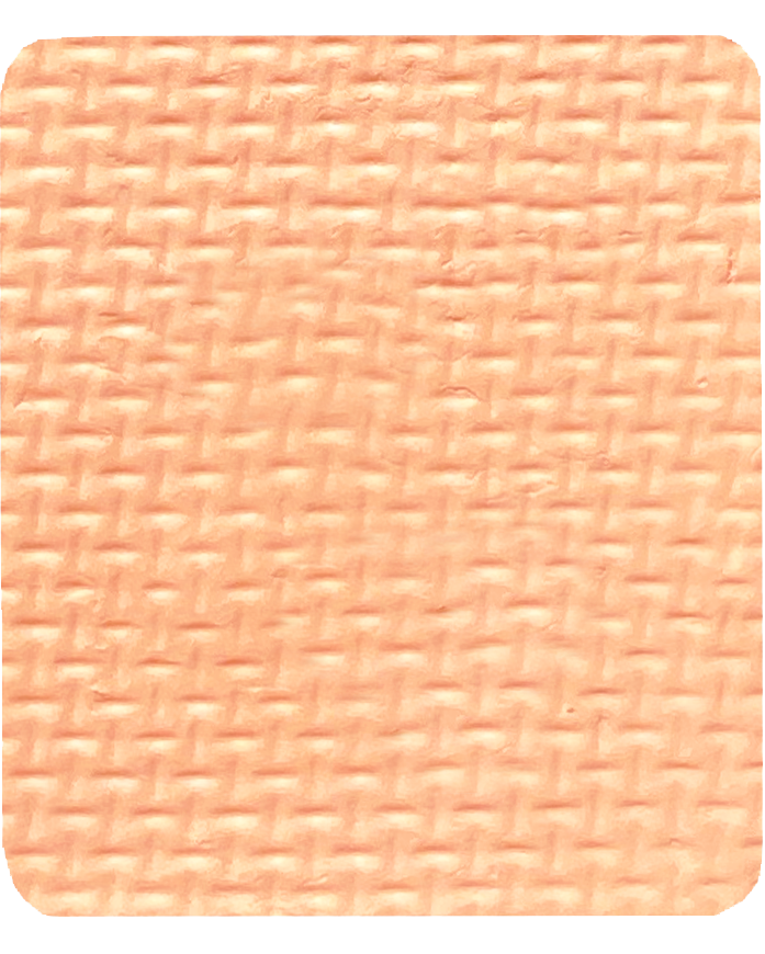 Gavissi Beauty - "PEACHES & CREAM" SINGLE LINER PAN (UV)