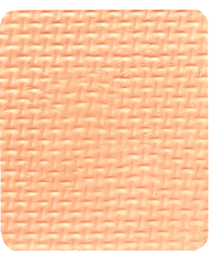 Gavissi Beauty - "PEACHES & CREAM" SINGLE LINER PAN (UV)