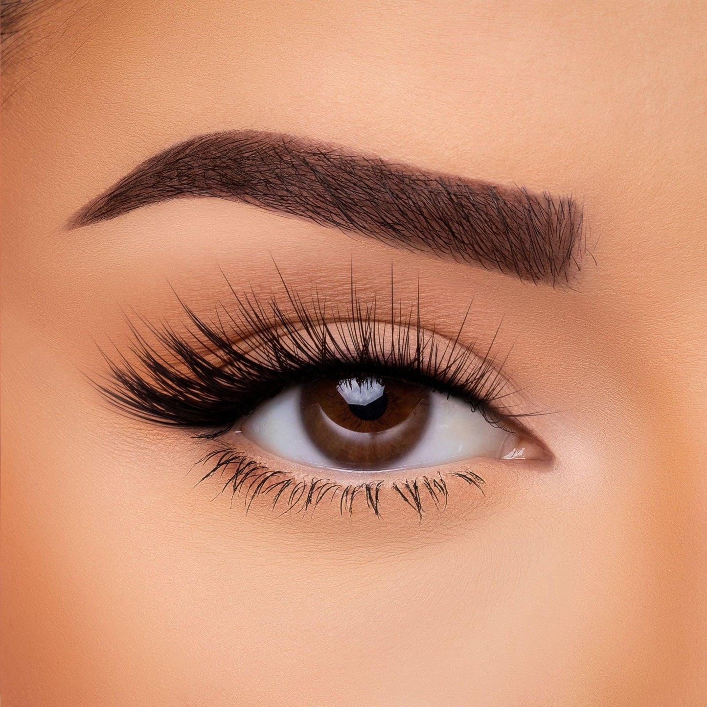 3D Silk Lash