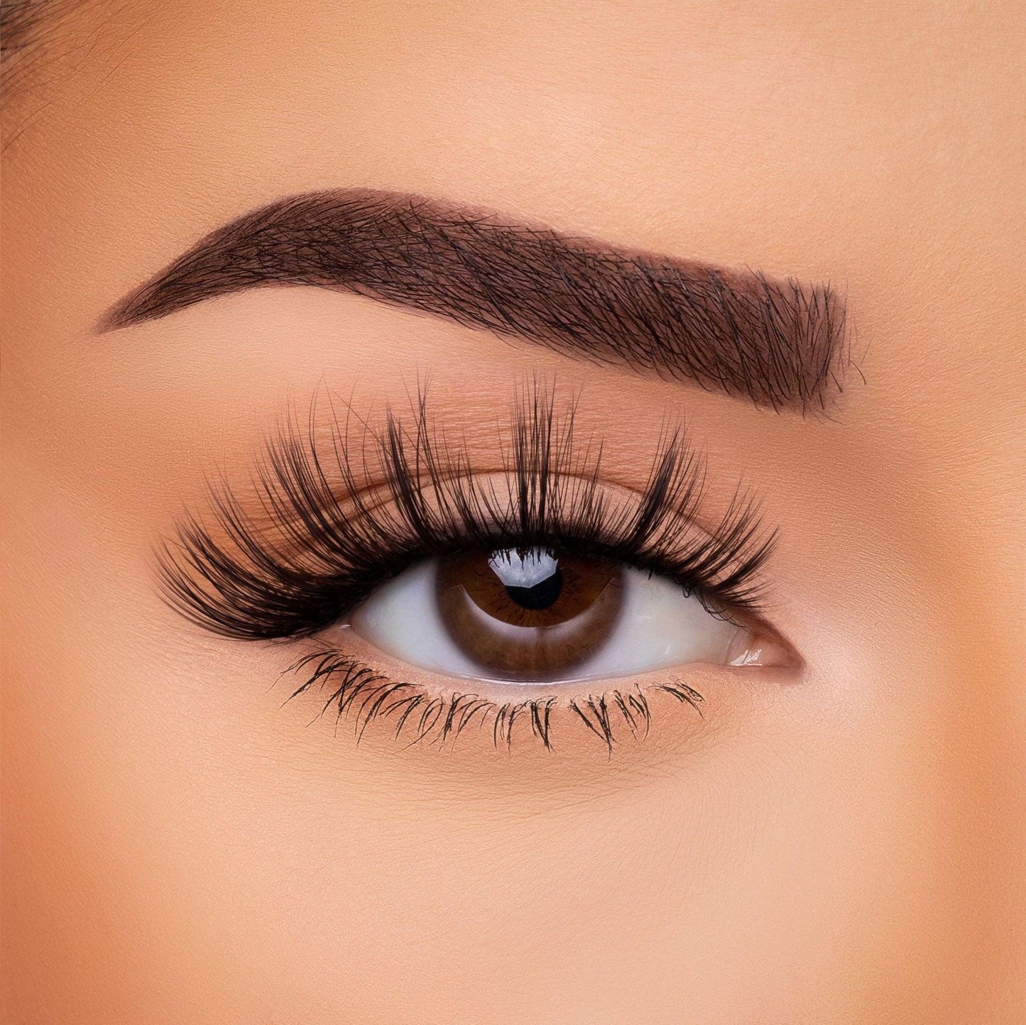 3D Silk Lash