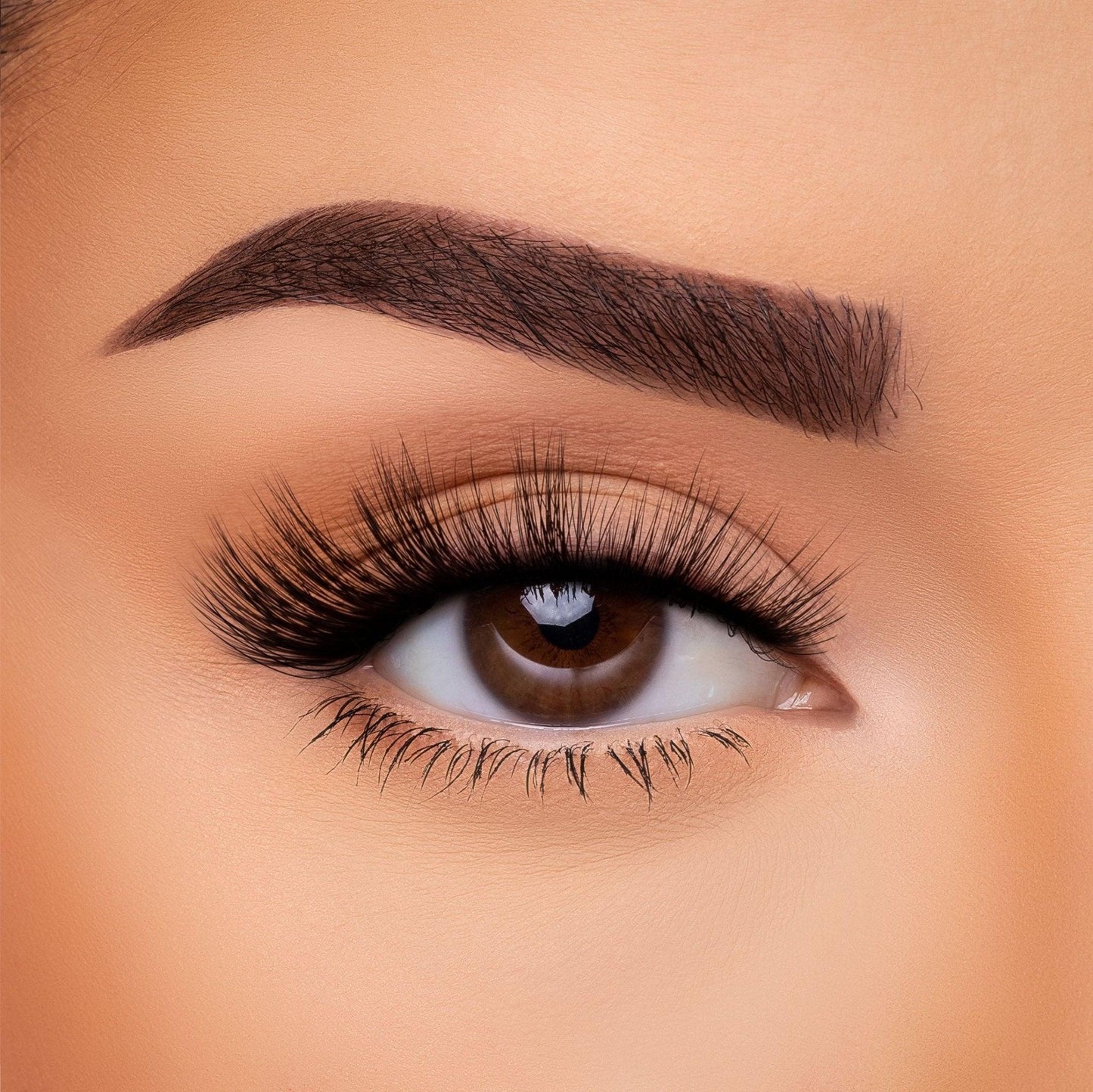 3D Silk Lash