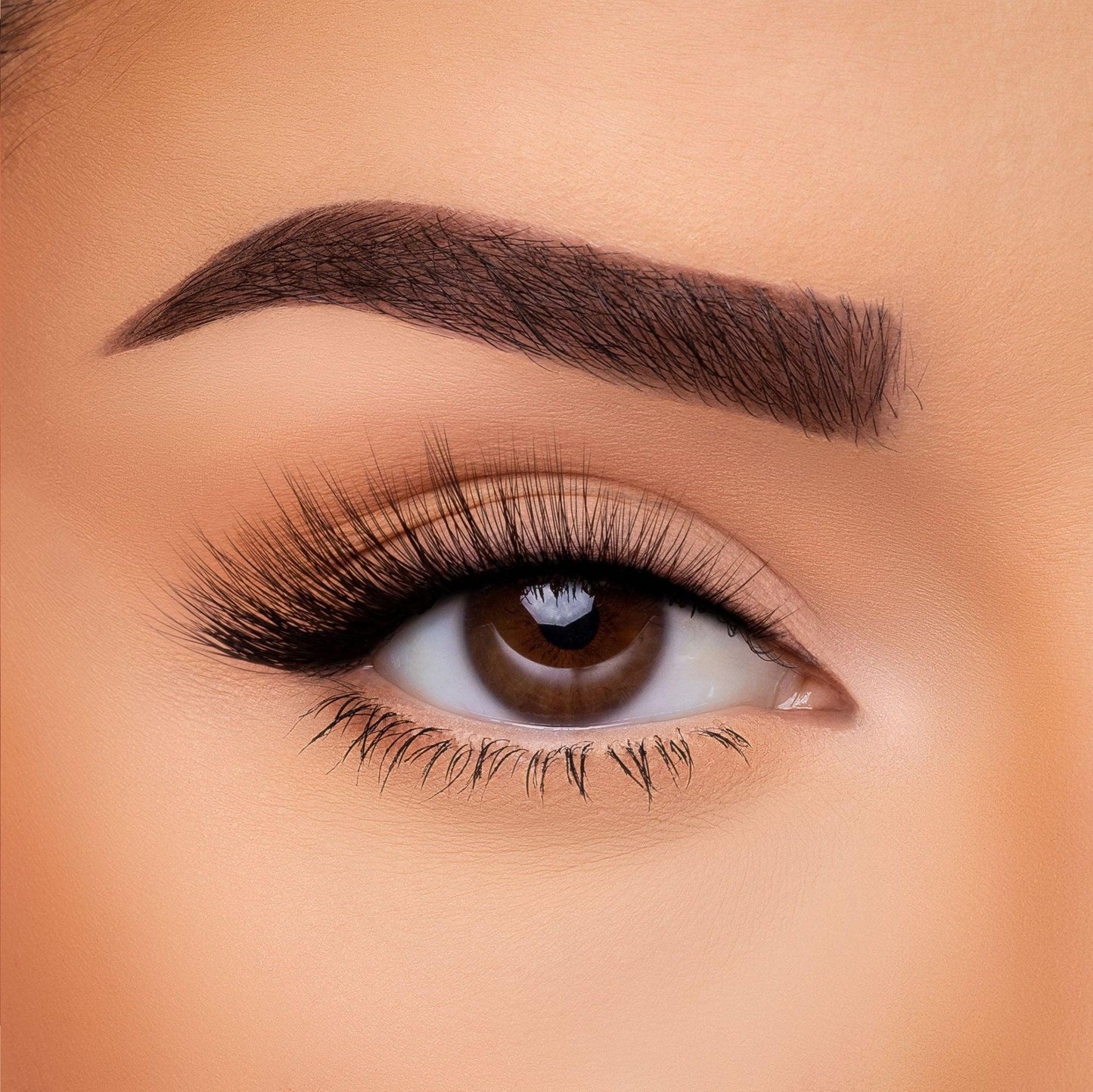3D Silk Lash