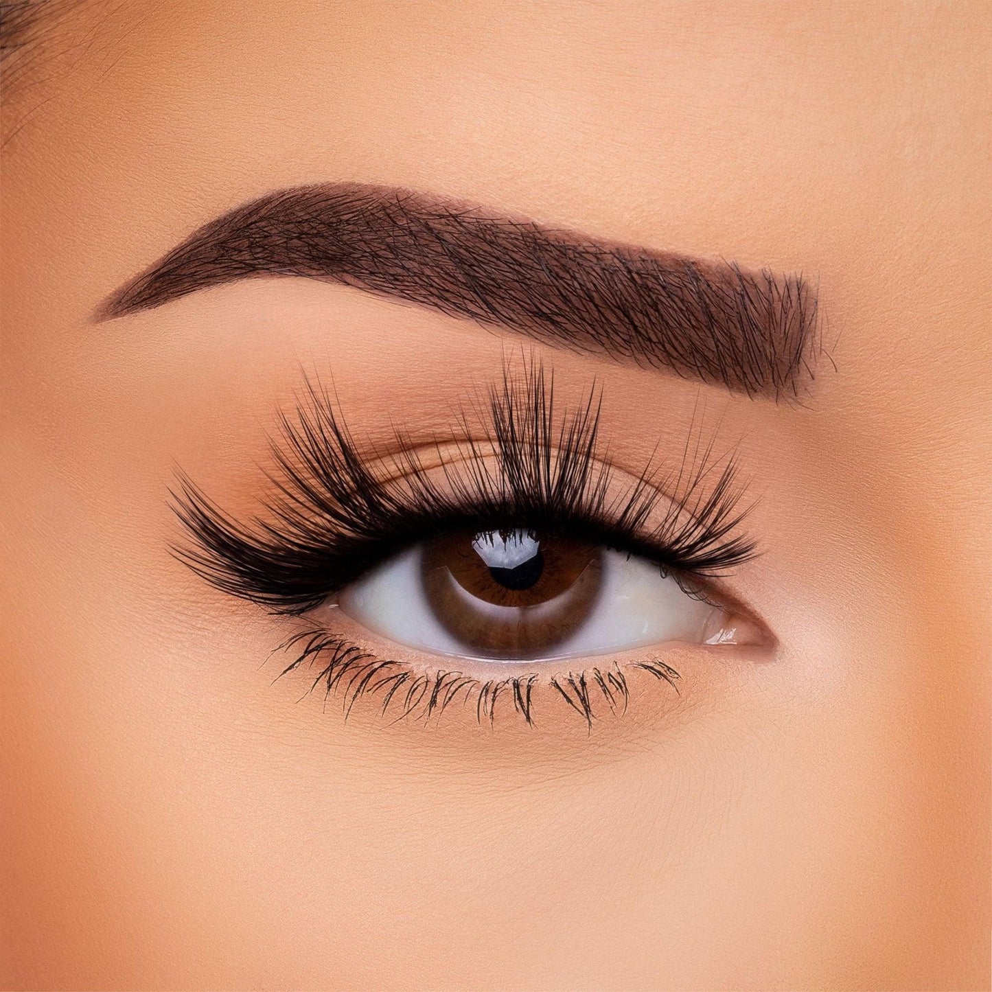 3D Silk Lash