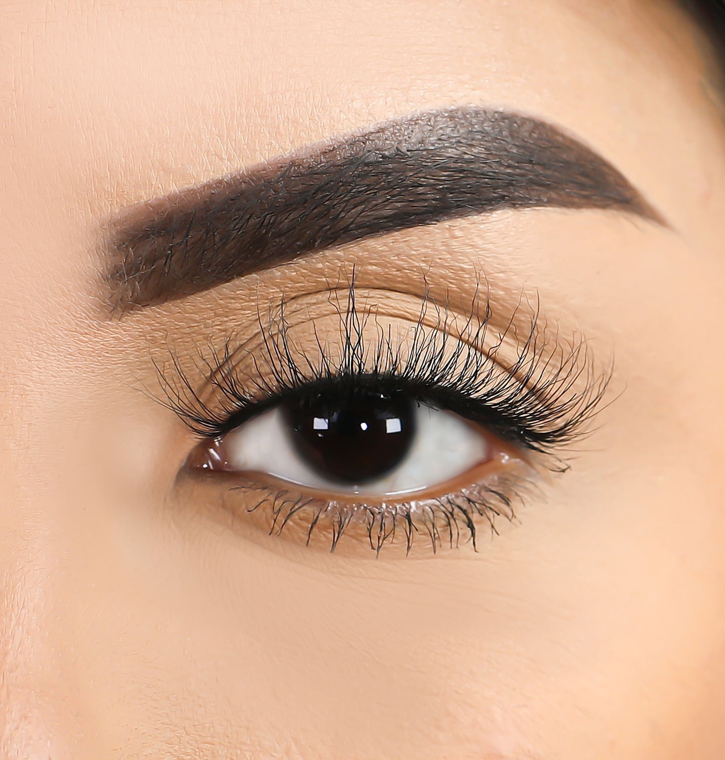 Lurella Cosmetics - 3D Mink Eyelashes - Scorpio