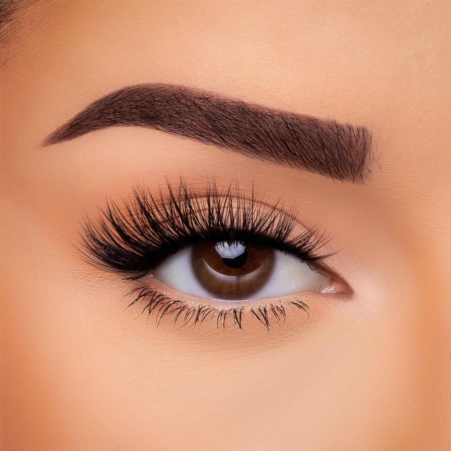 3D Silk Lash