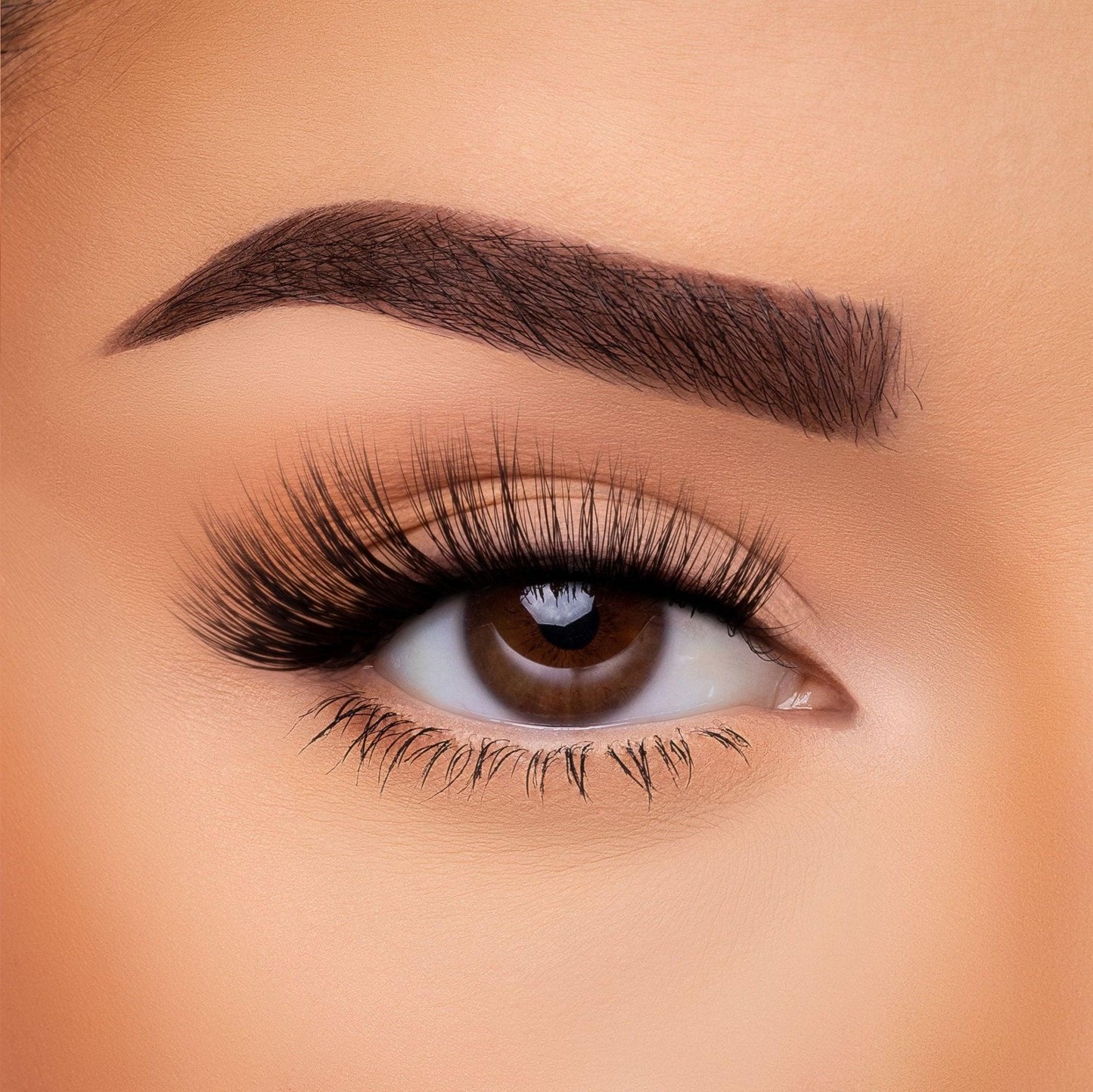3D Silk Lash