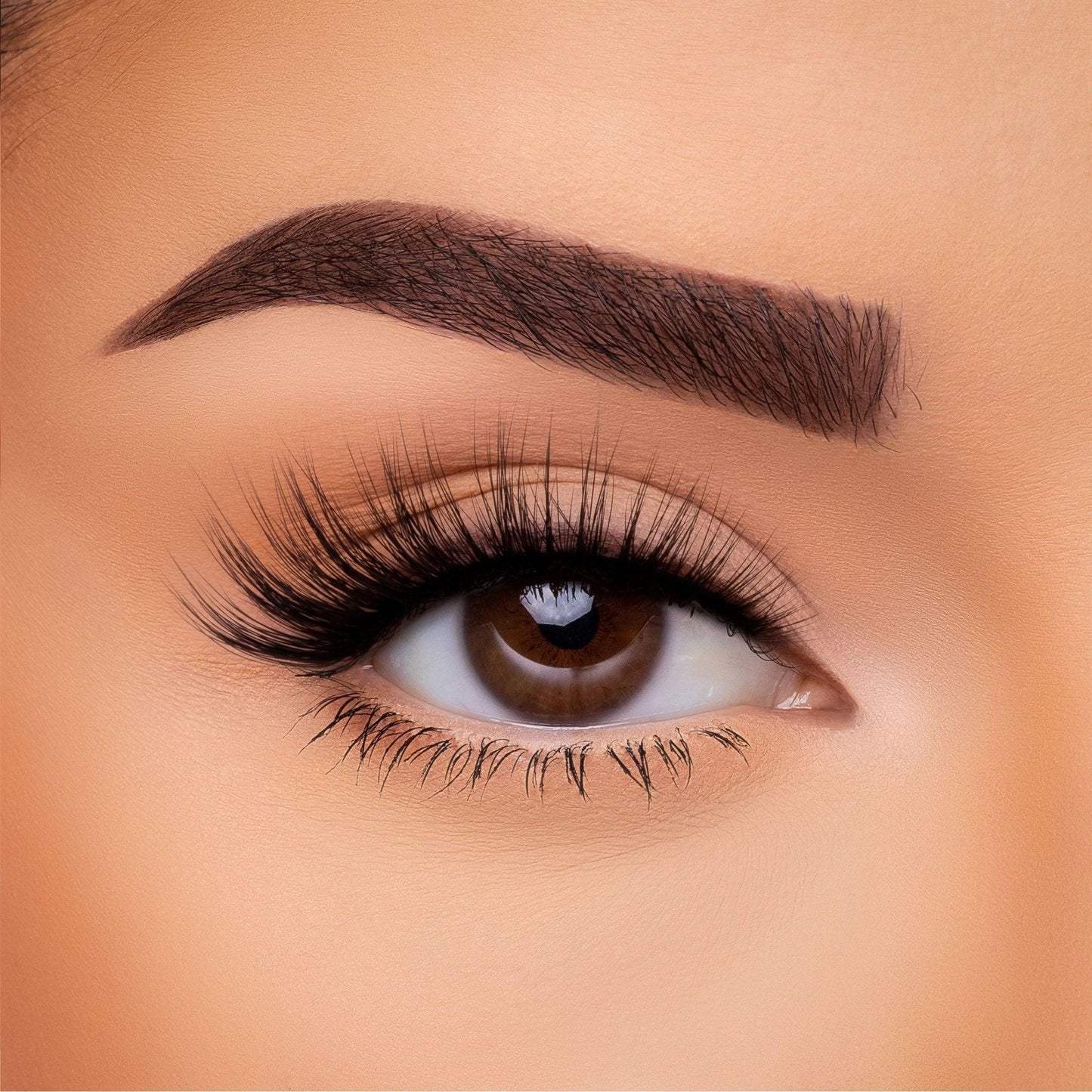 3D Silk Lash