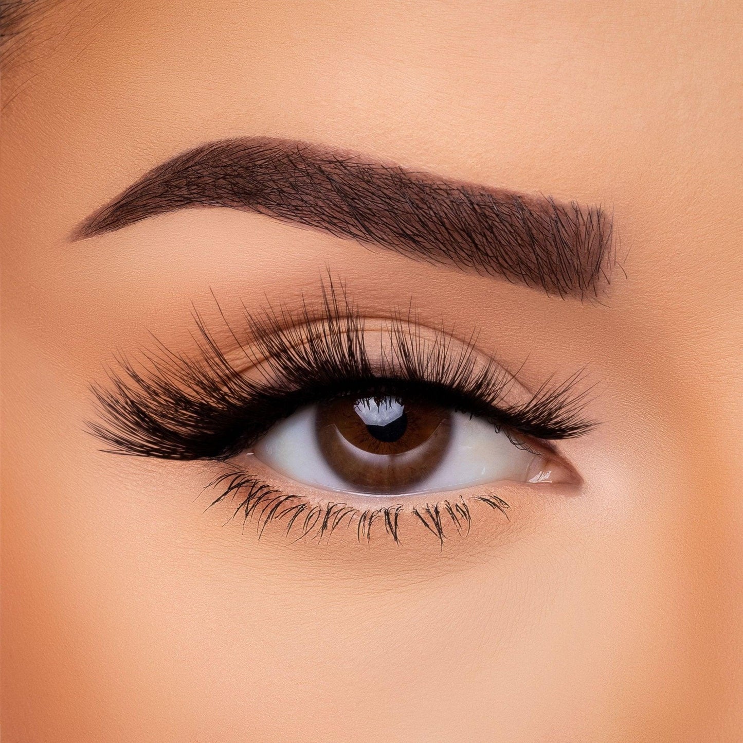 3D Silk Lash