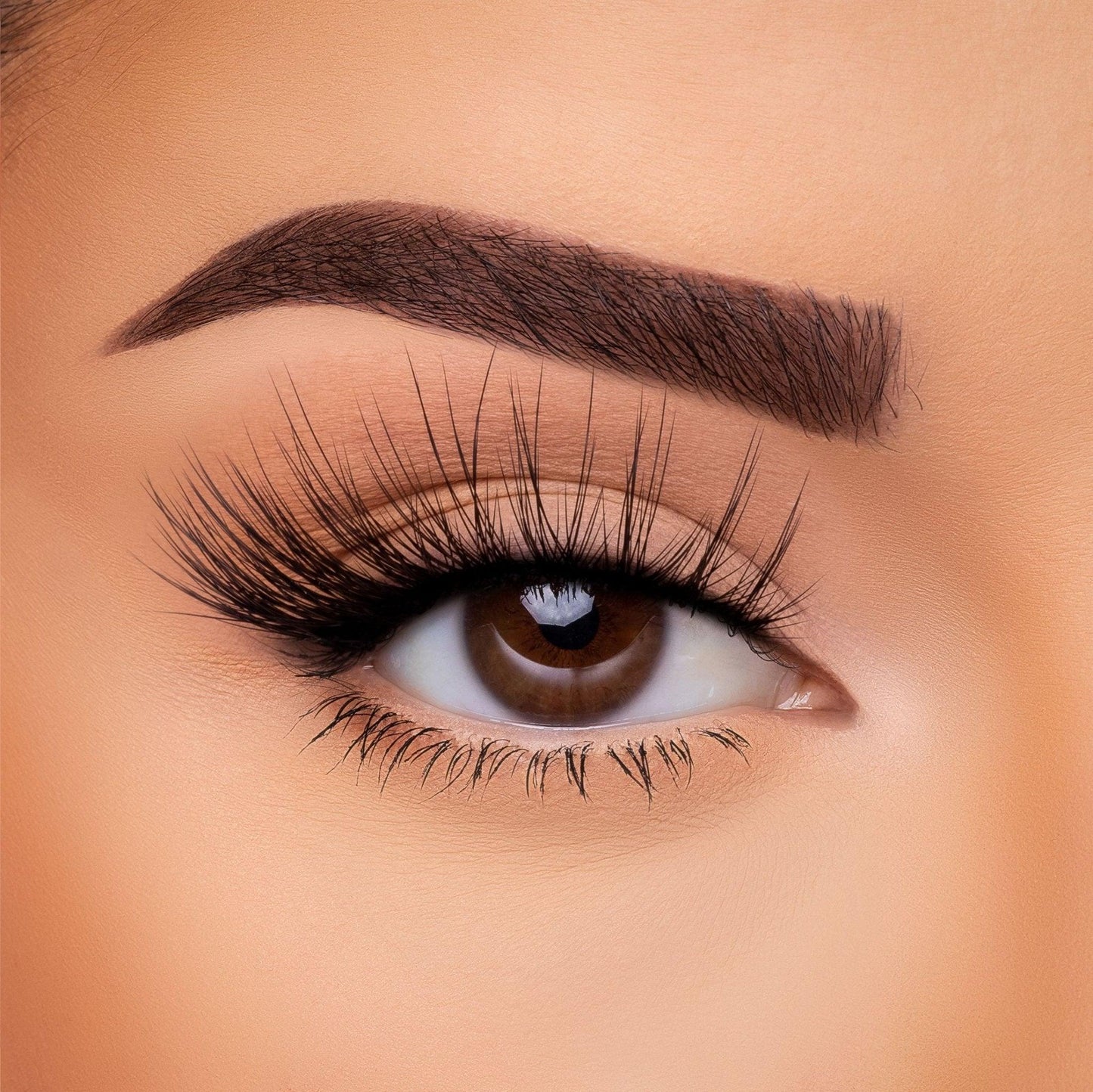 3D Silk Lash